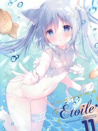 (C100) [しらたまこ (しらたま)] &Eacutetoile 11海报